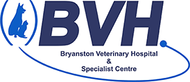 Bryanston Veterinary Hospital